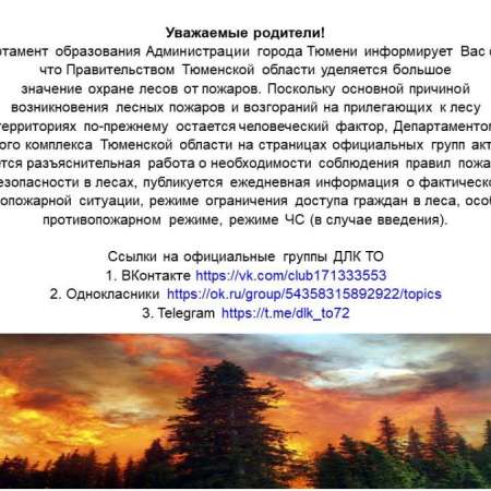  Правила пожарной безопасности в лесах. Информация Департамента  лесного комплекса Тюменской области.