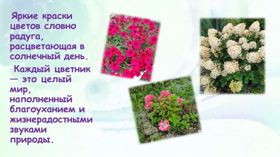 Слайд3.JPG