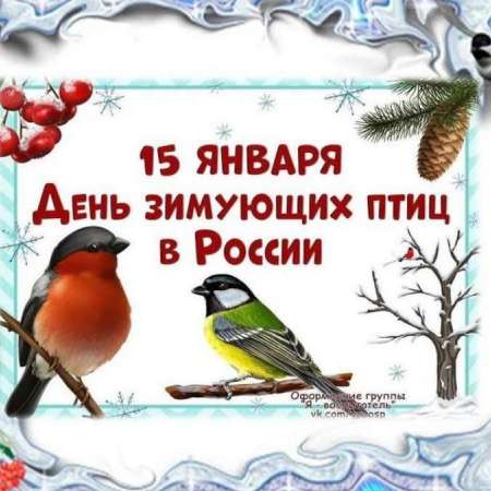 15 января - День зимующих  птиц