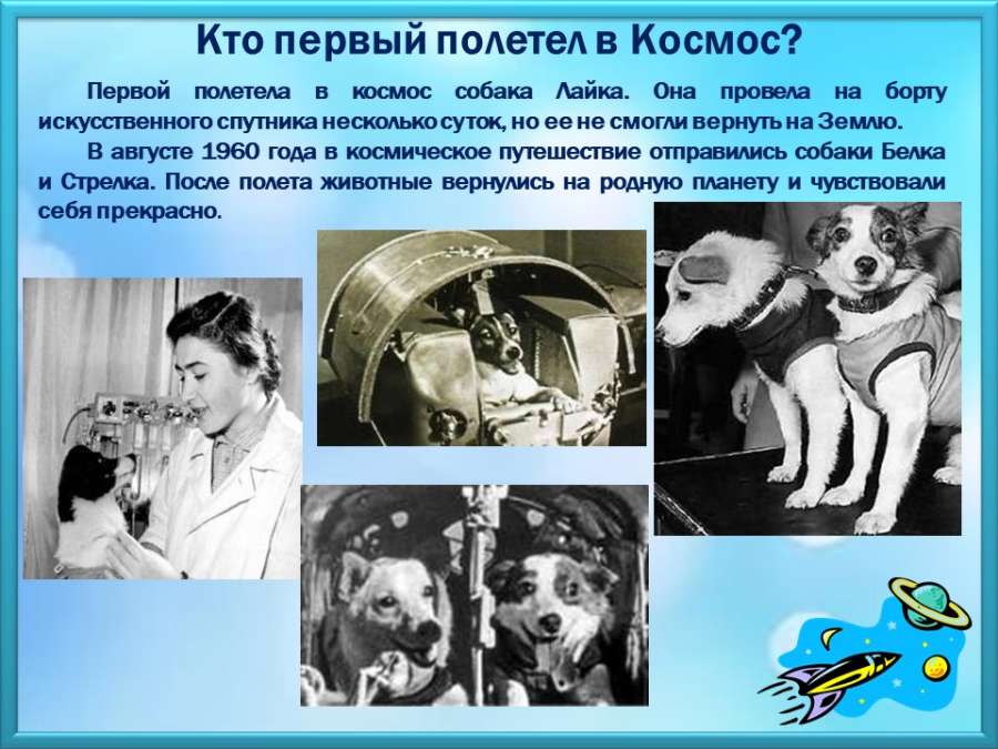 Слайд6.JPG