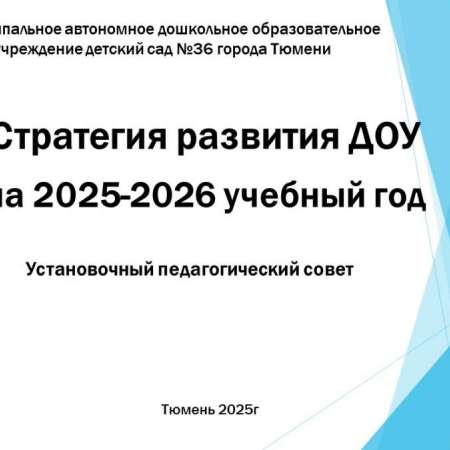 Стратегия развития ДОУ на 2025-2026 учебный год